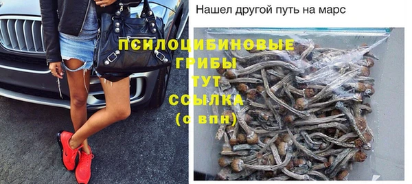 MDMA Premium VHQ Богородицк